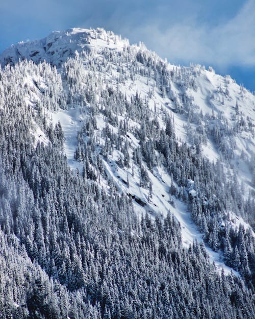 Snowy mountain with trees under sky in winter