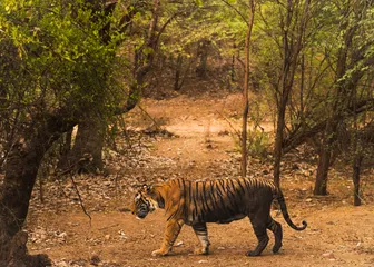 Photo Sagar Pant / Pexels