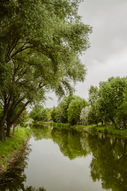 Free Peaceful river flowing through lush forest in Eskişehir, Türkiye. Stock Photo