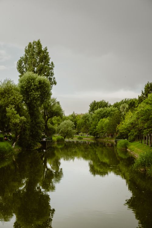 Free Tranquil river scene with lush greenery reflecting in the water in Eskişehir, Türkiye. Stock Photo