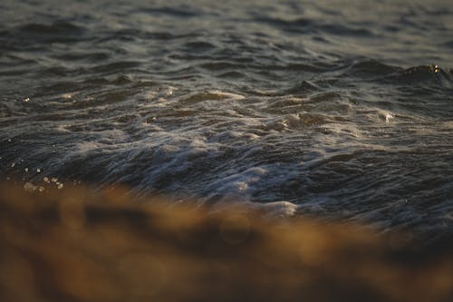 H2O, サーフィン, シースケープの無料の写真素材