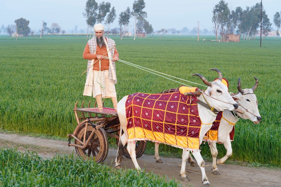 Hoshiarpur Development Plan