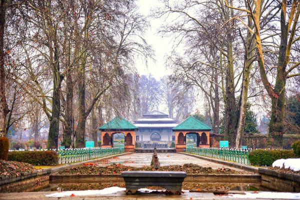 Sightseeing in Srinagar