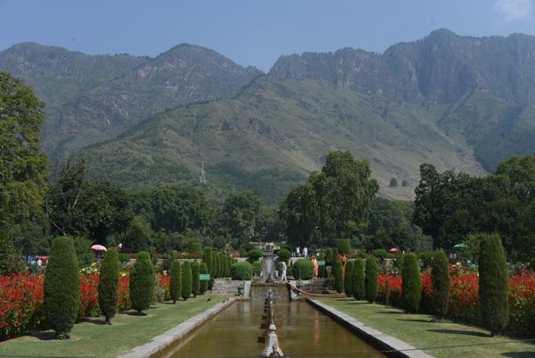 Magical Kashmir Ex-Srinagar - Transfers
