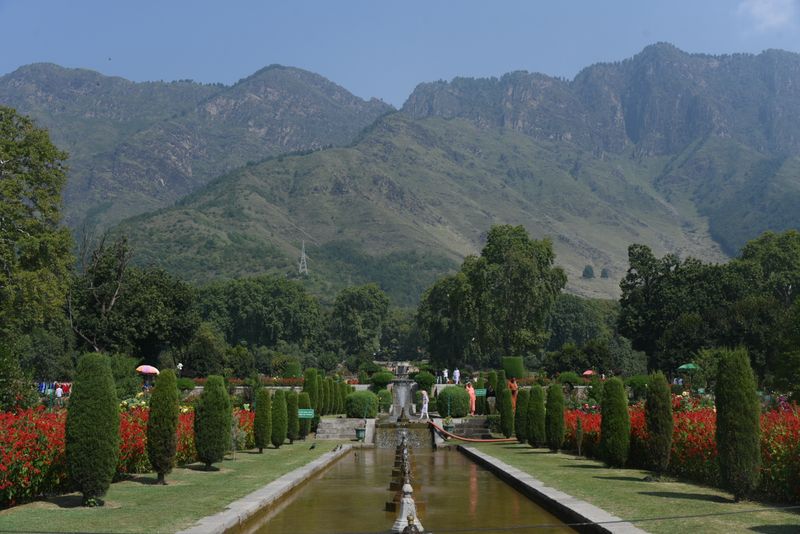 Mughal garden in Srinagar with red flowers and mountains