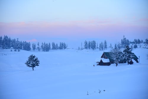 beautiful view of Gulmarg Kashmir during winters
