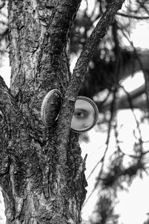 Free Black and white photo featuring eye reflection in a mirror on a tree, evoking mystery. Stock Photo