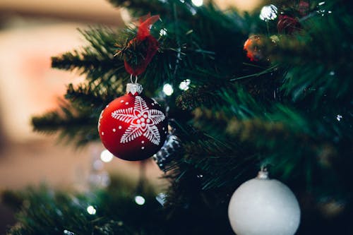 Photos gratuites de arbre, arbre de noël, boules de noël