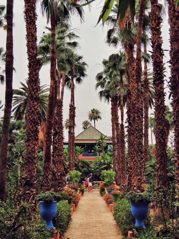 Majorelle Bahçesi, Marakeş