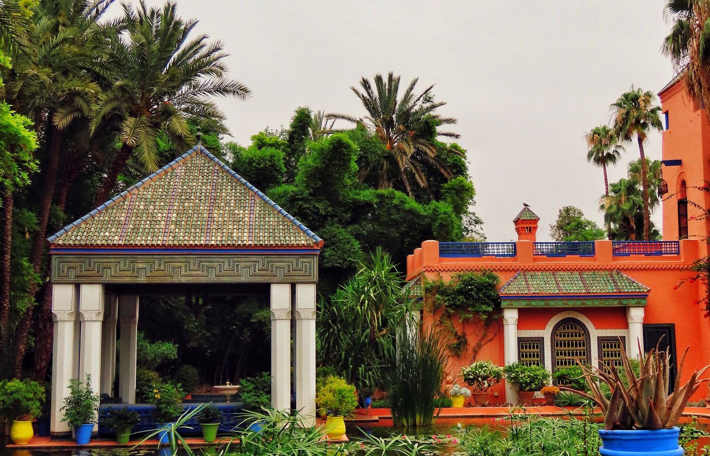 Greenery and blue architecture in Jardin Majorelle during a Marrakech city break