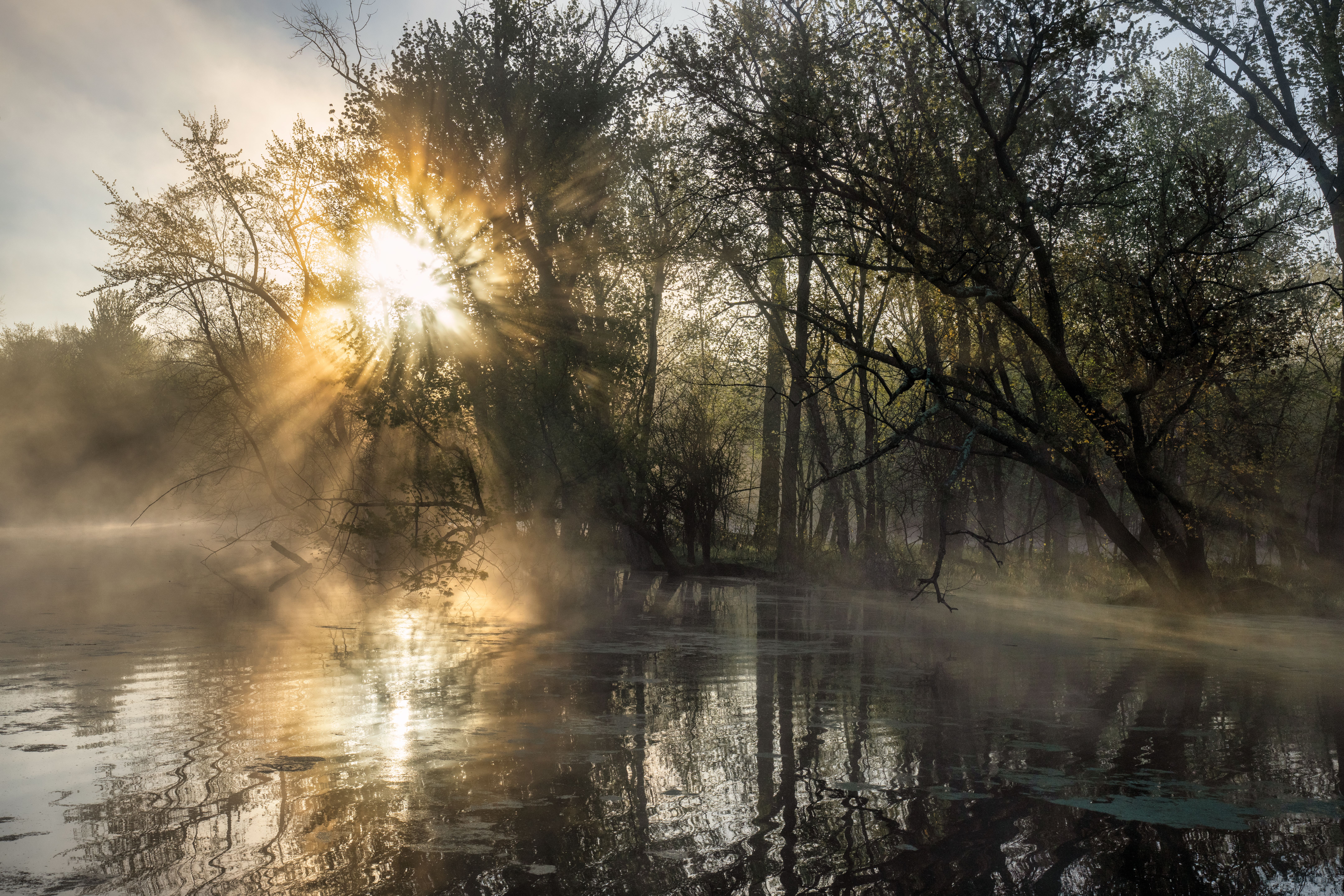 Splendid Morning Photos, Download The BEST Free Splendid Morning Stock ...