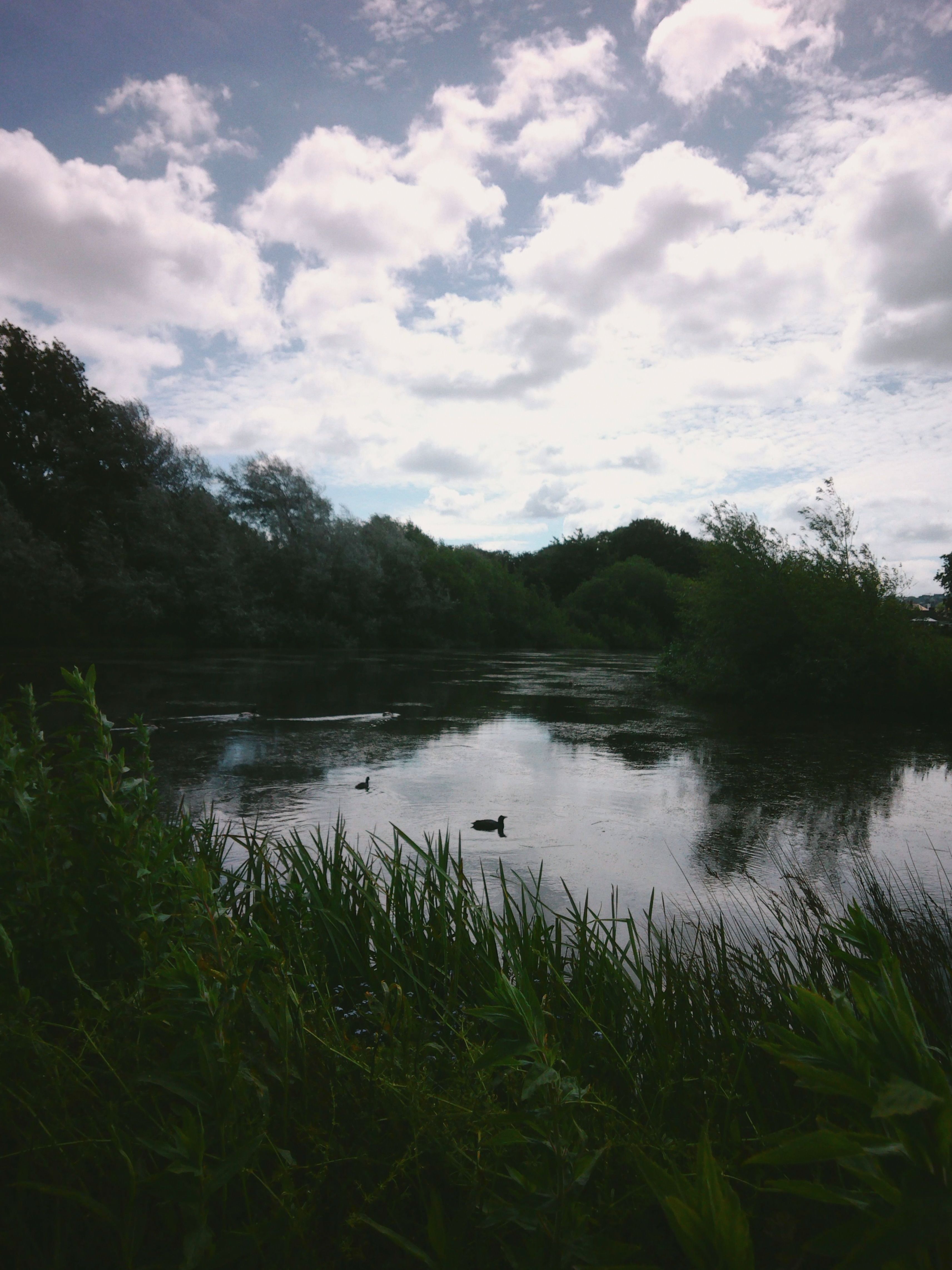 Landscape of a Lake · Free Stock Photo