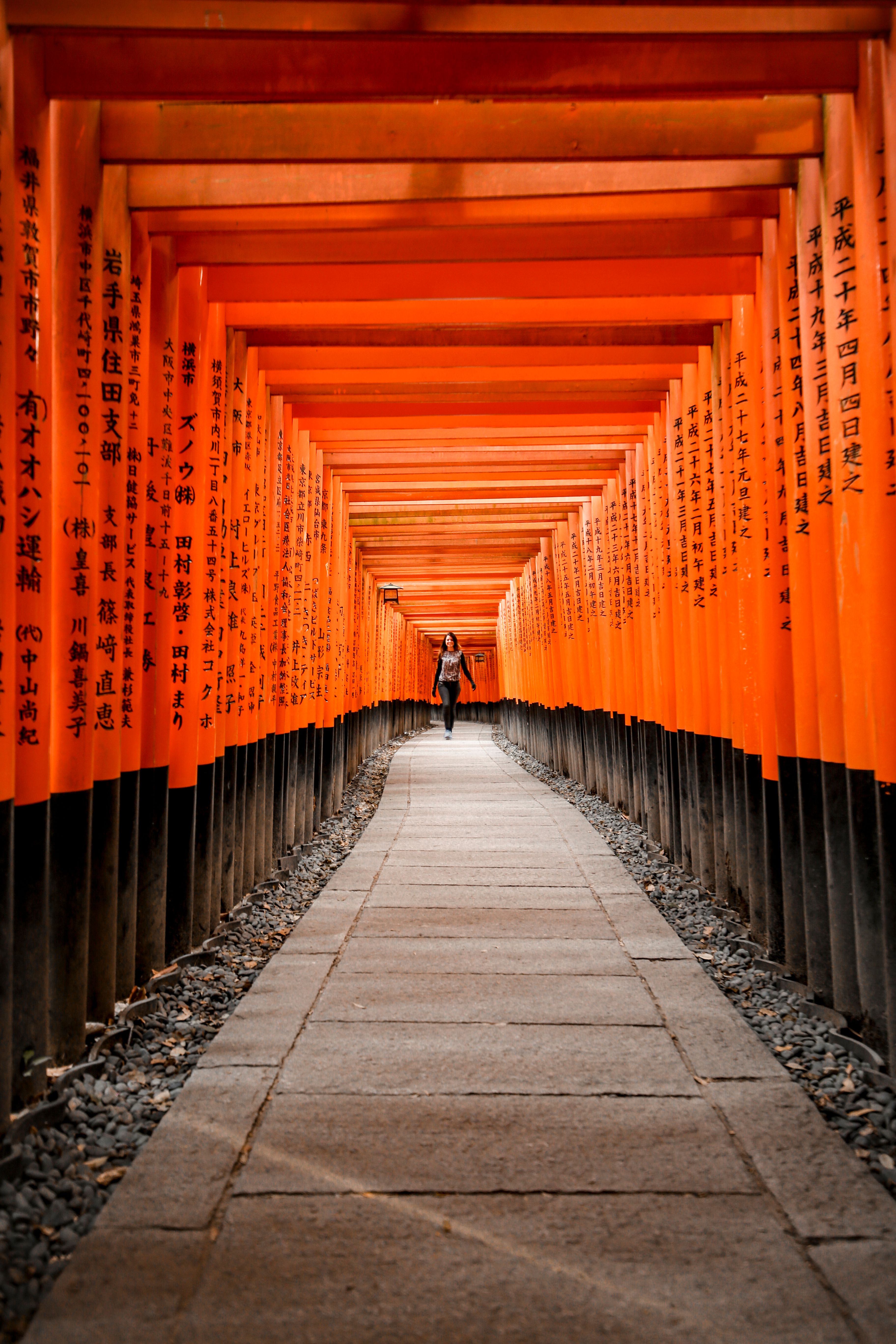 Woman Walking Under Fushimi Inari Shrine in Japan · Free Stock Photo