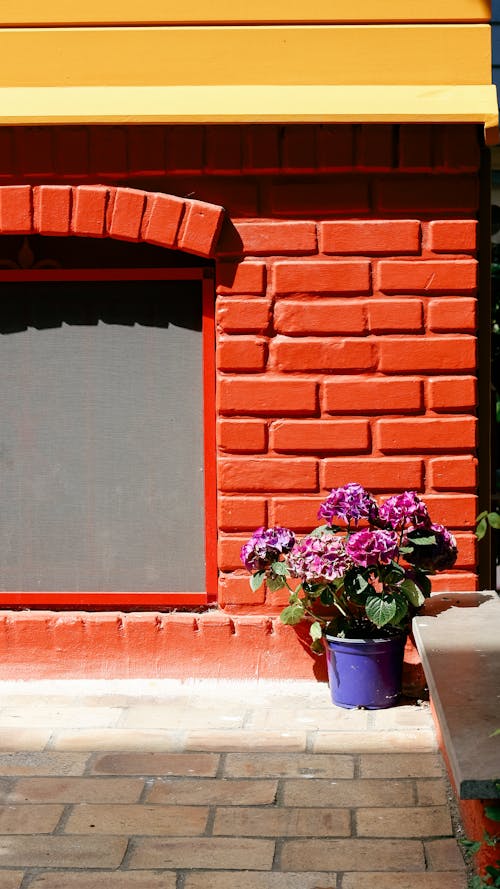 A red brick wall with a flower pot on it