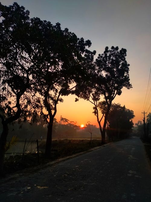 Free sunrise Stock Photo