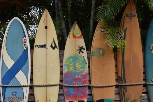 A vibrant display of surfboards leaning against a fence, perfect for summer vibes.