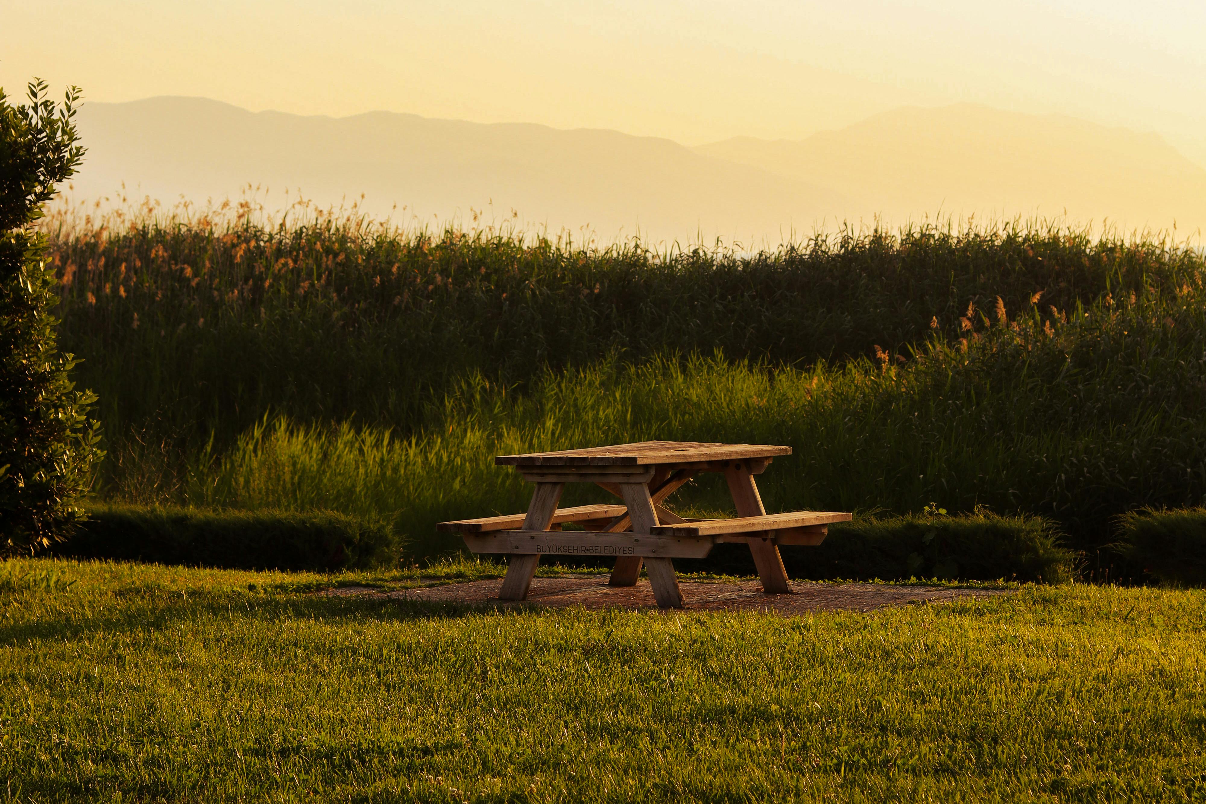 field table at sunset - Farm-to-table dining experiences