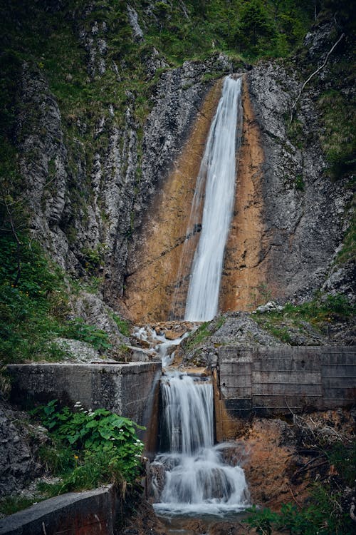 Foto profissional grátis de água, ao ar livre, árvore