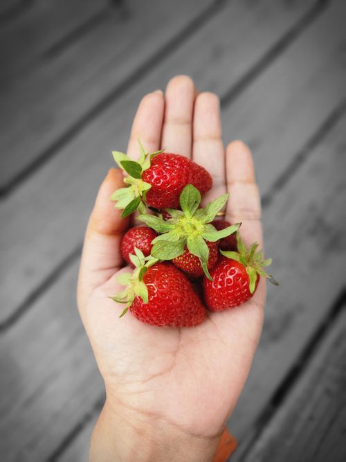 Free A close-up of a hand holding fresh strawberries, showcasing their vibrant red color against a rustic wooden background. Stock Photo
