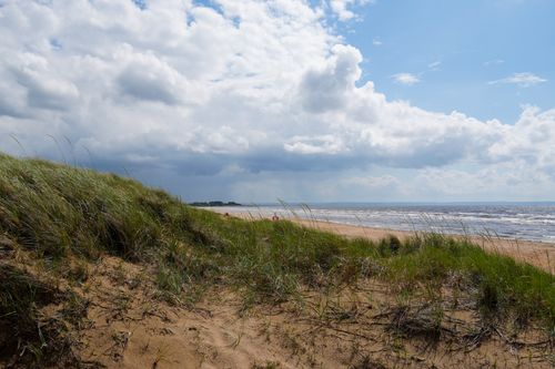 Free Tranquil beach landscape with dunes, grass, and open sea under a cloudy sky. Stock Photo