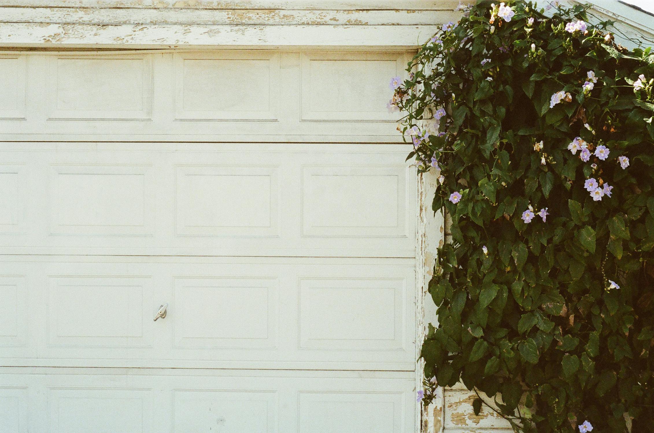 white garage door with bush