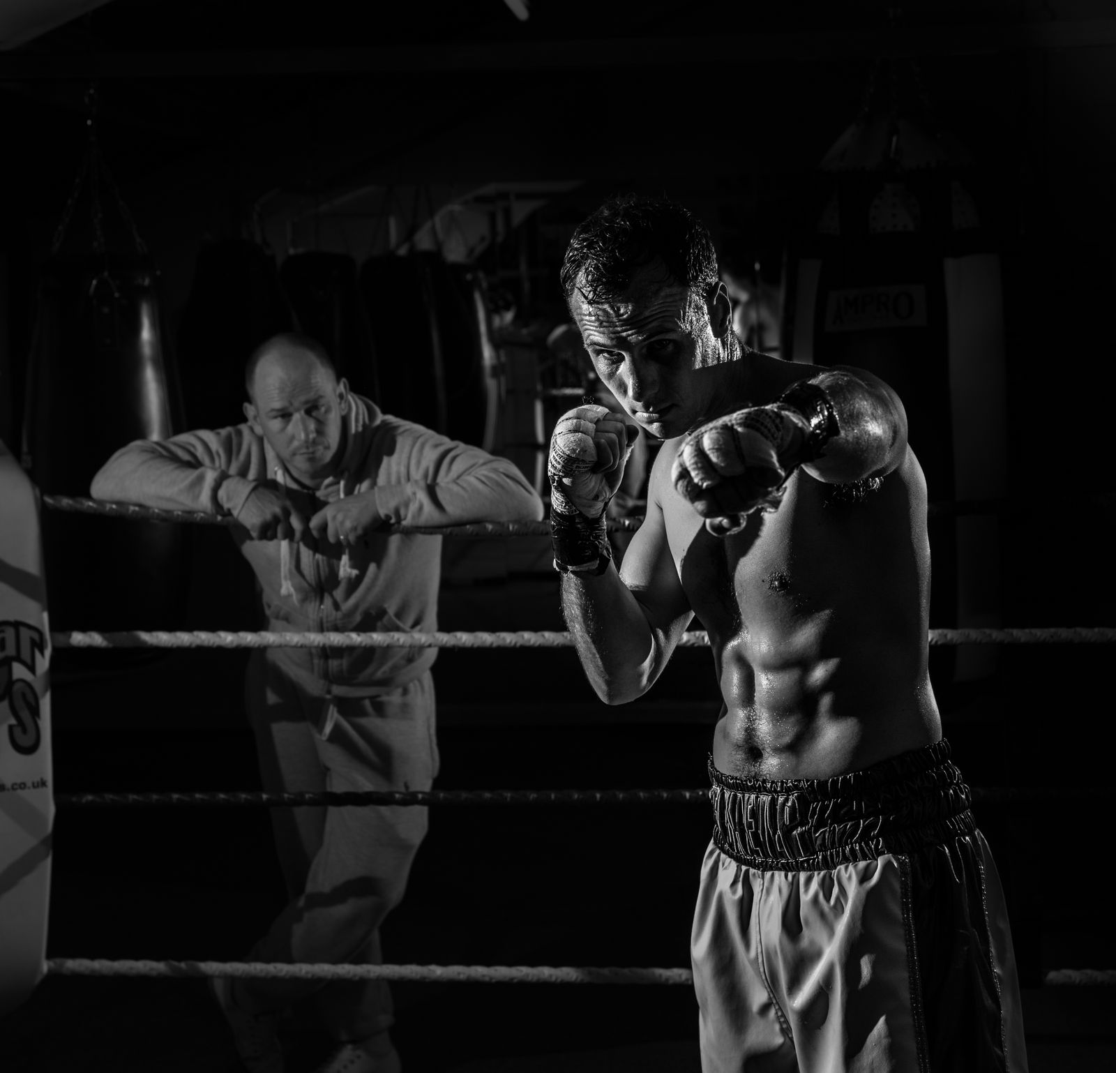 3,000+张最精彩的“Fight”图片 · 100%免费下载 · Pexels素材图片