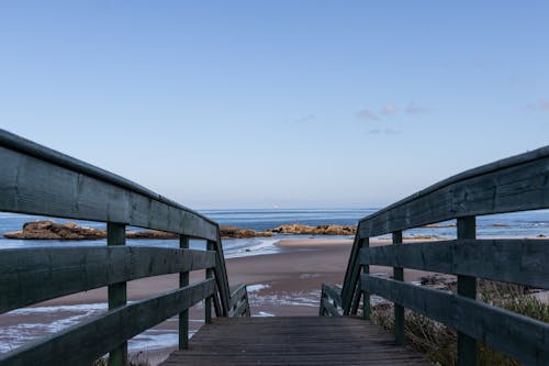 昼間の遊歩道の写真