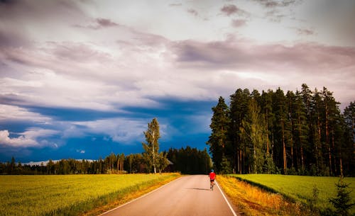 Free Road Amidst Trees in Forest Against Sky Stock Photo