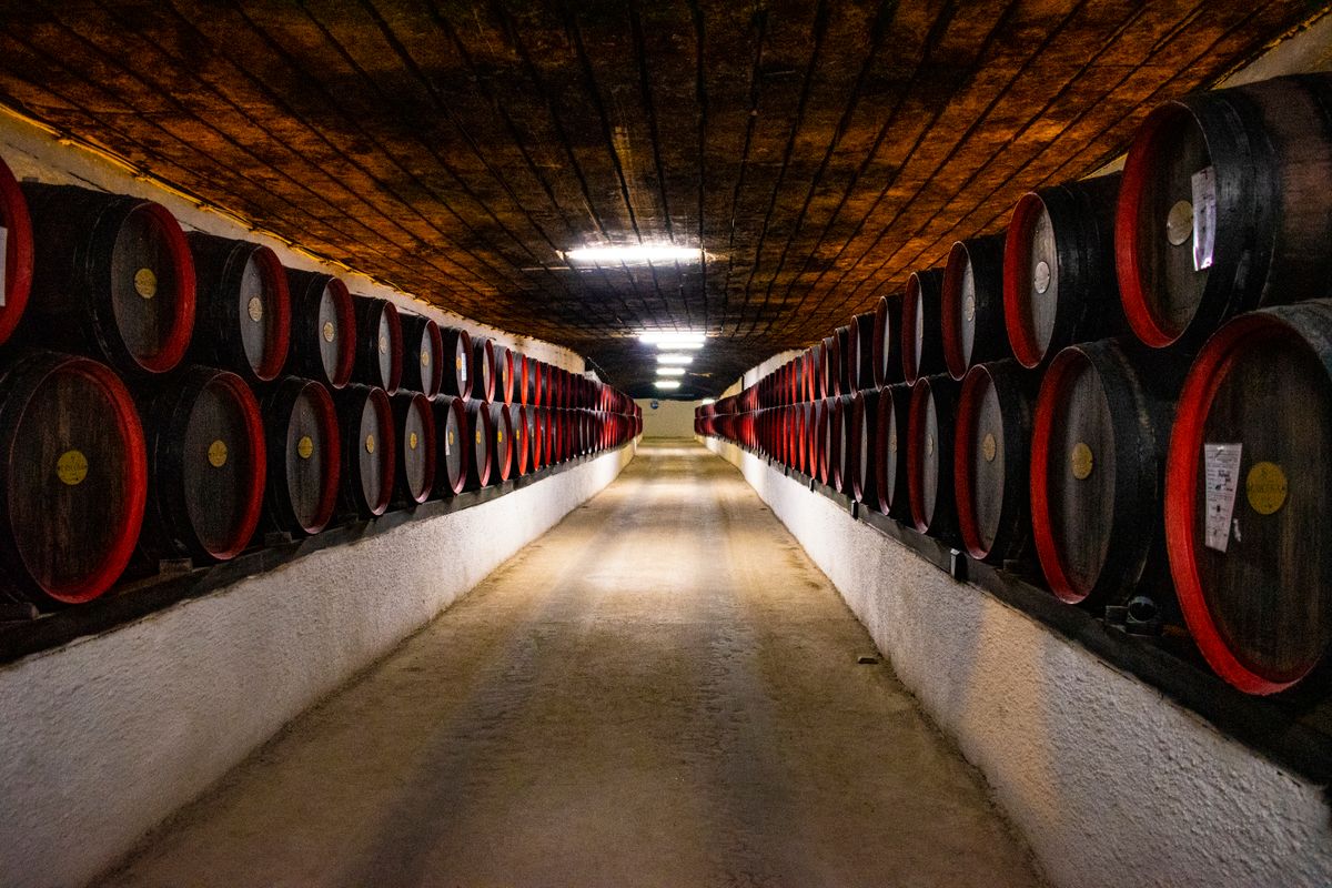 A long tuffeau cellar tunnel lined with barrels