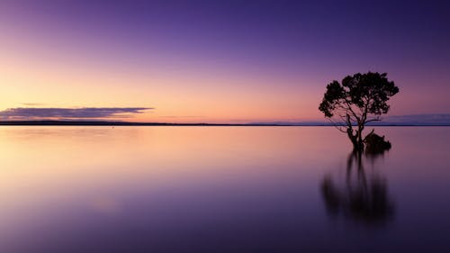 無料 日没時の空を背景に海の風光明媚な景色 写真素材