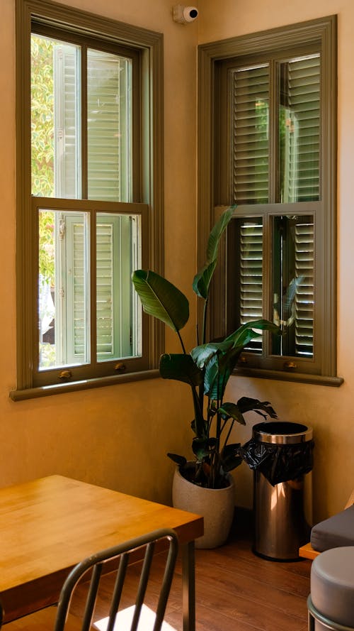 A table with a plant and a window with shutters