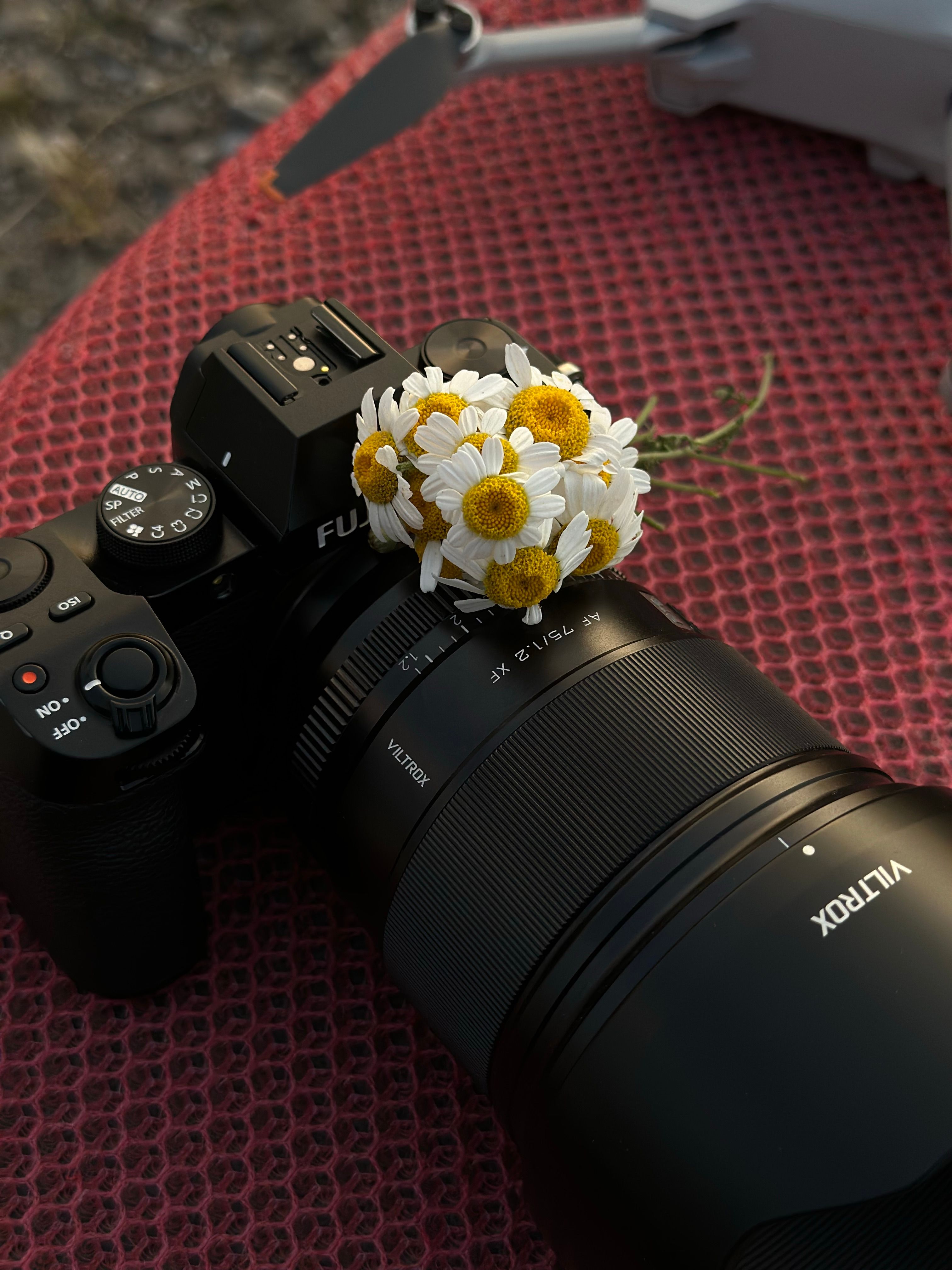 Small Bouquet of Chamomiles on the Lens of a Digital Camera Next to a ...
