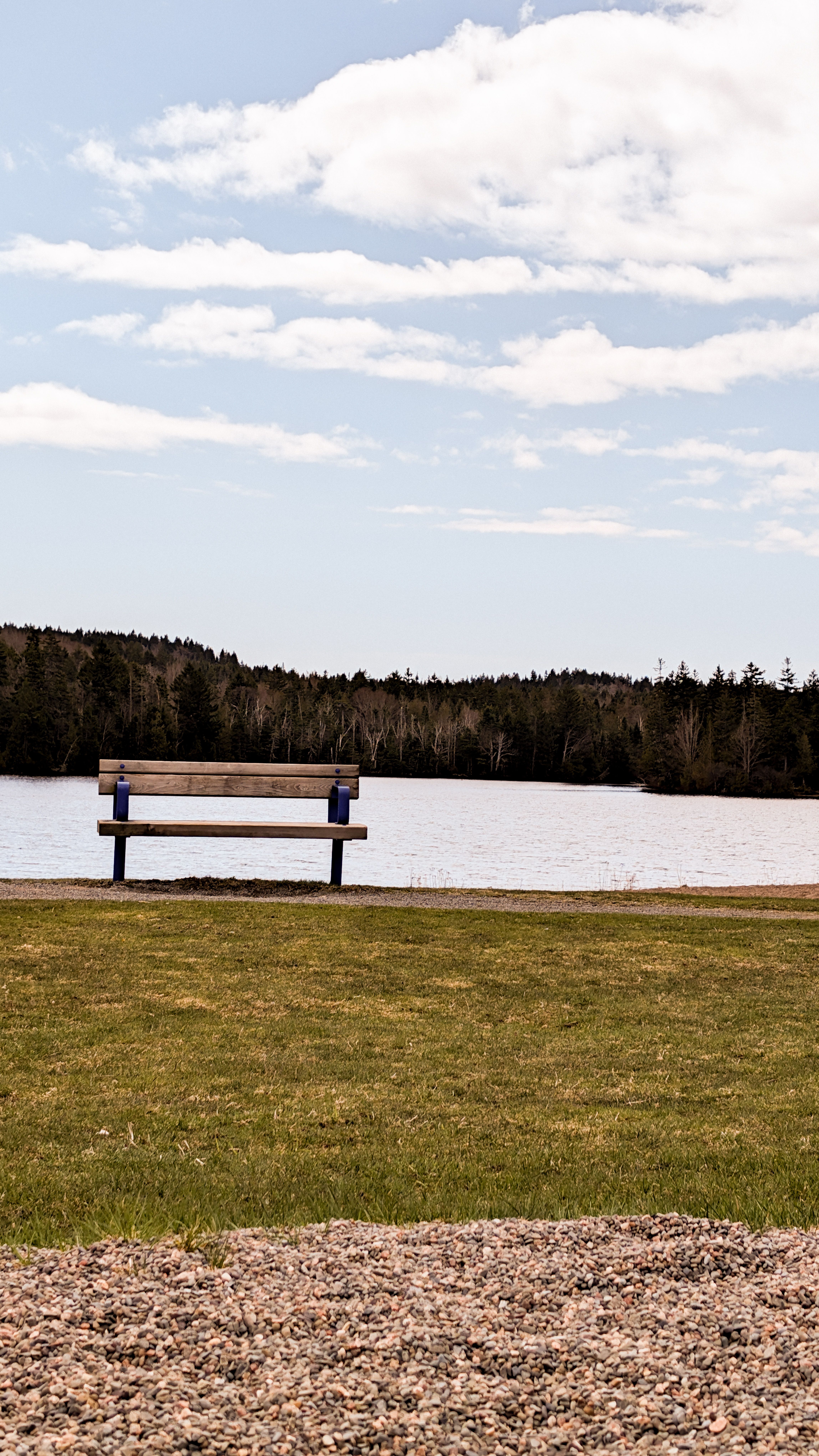 A Bench by a Lake · Free Stock Photo