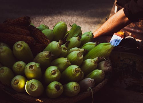 무료 바구니에 옥수수의 클로즈업 사진 스톡 사진