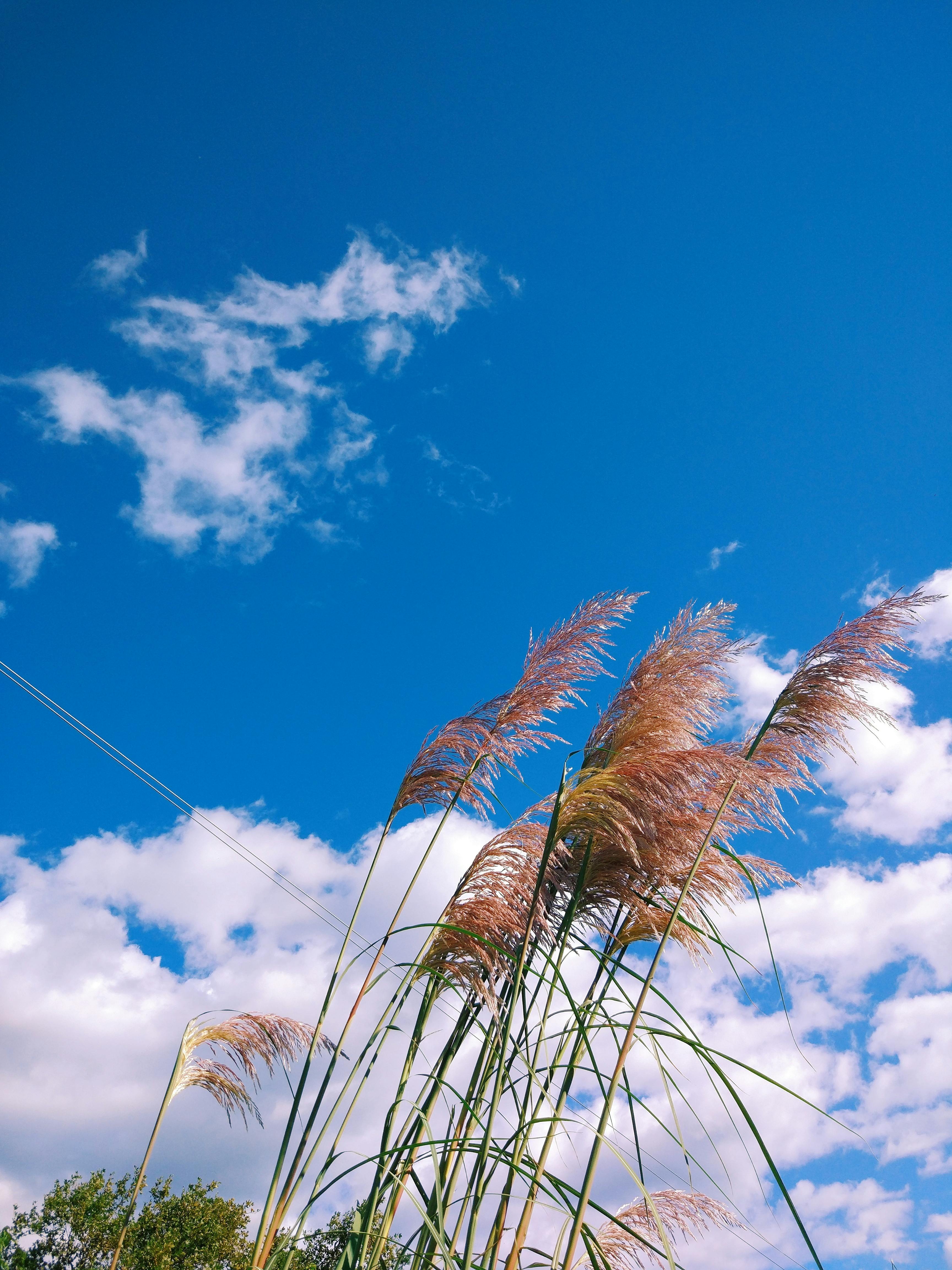 Family enjoying a water park resort with slides and pools