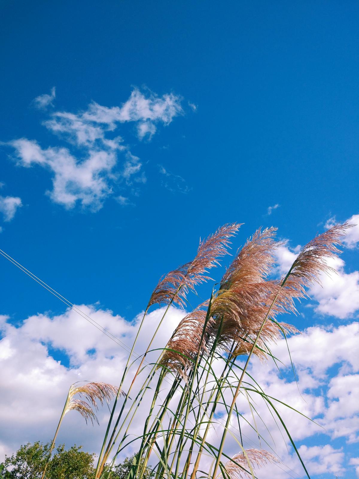 Resort pool at sunrise