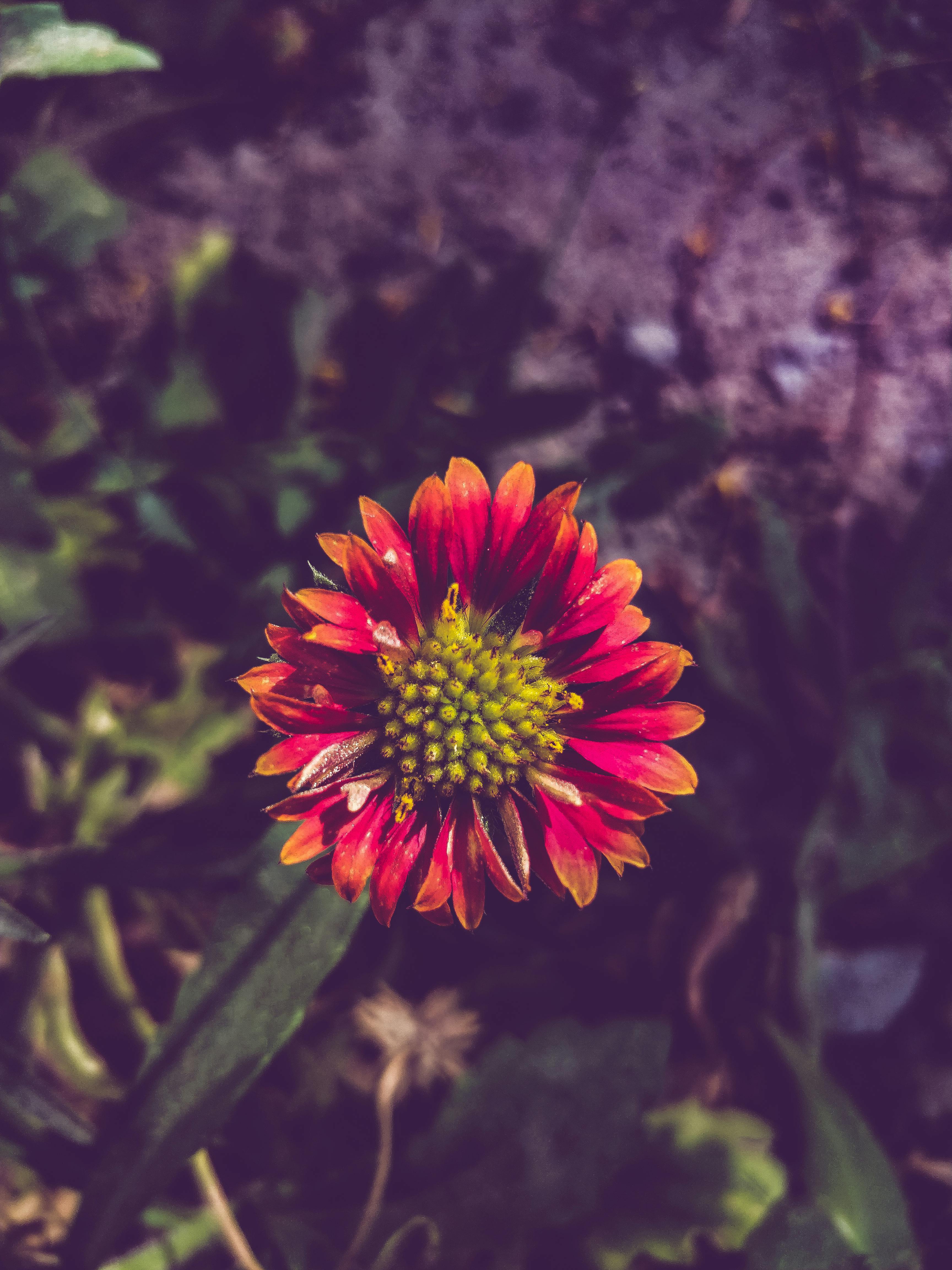 Overwater villas similar to a luxury Hyatt resort in the Maldives