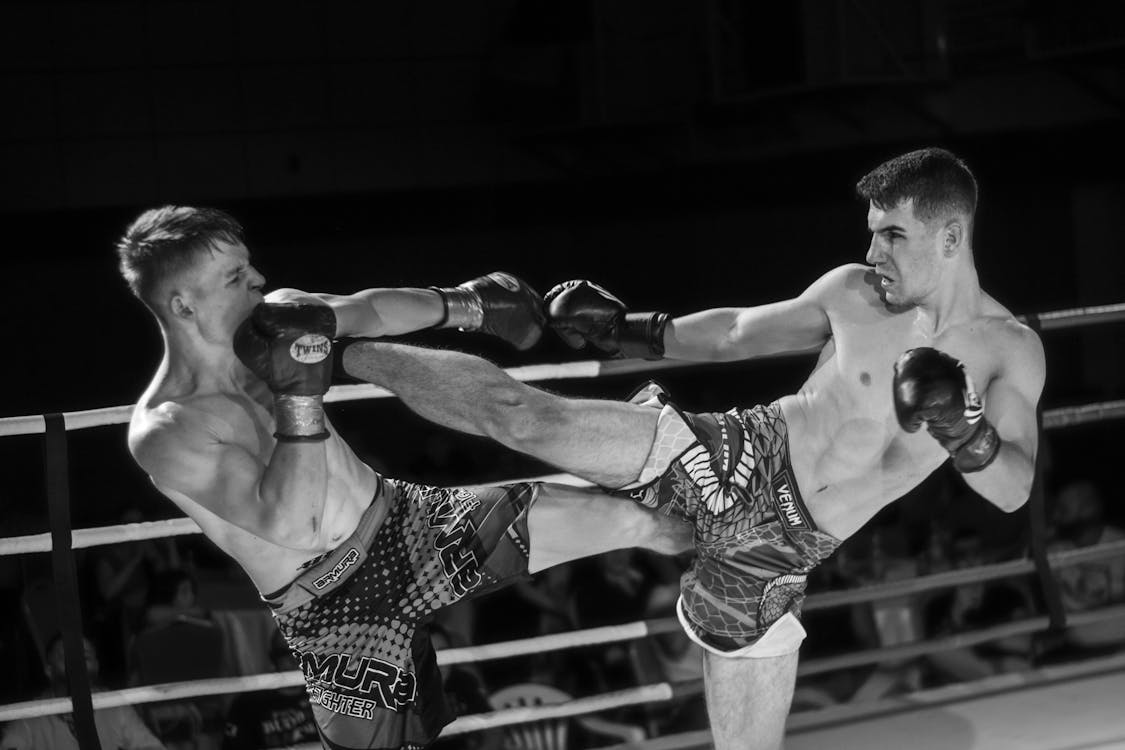 Free Men Fighting In The Ring Stock Photo
