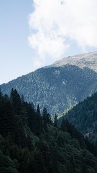 Image by Nurefşan Çalışkan