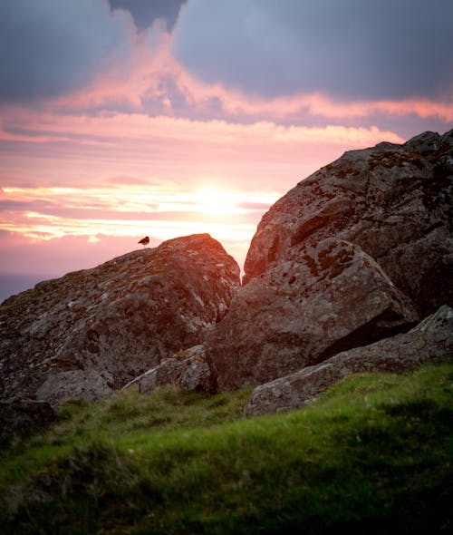 Photo of Rocks On Grass