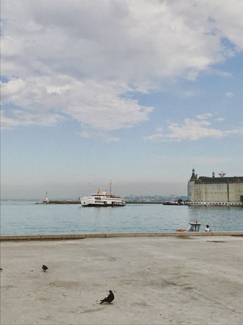 deniz, güvercin, haydarpaşa garı içeren Ücretsiz stok fotoğraf