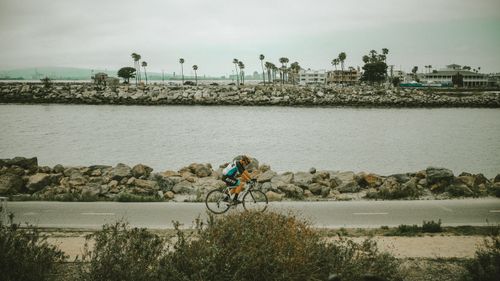 Free A cyclist enjoys a scenic ride by the seaside on a cloudy day, surrounded by water and palm trees. Stock Photo