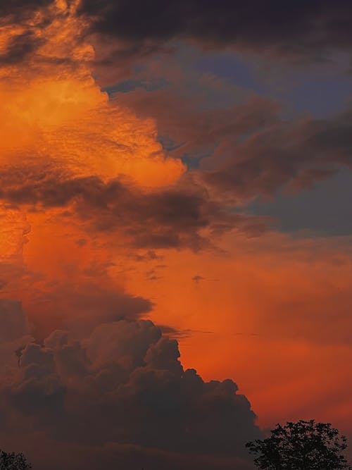 Foto profissional grátis de céu, céu azul claro, céu bonito