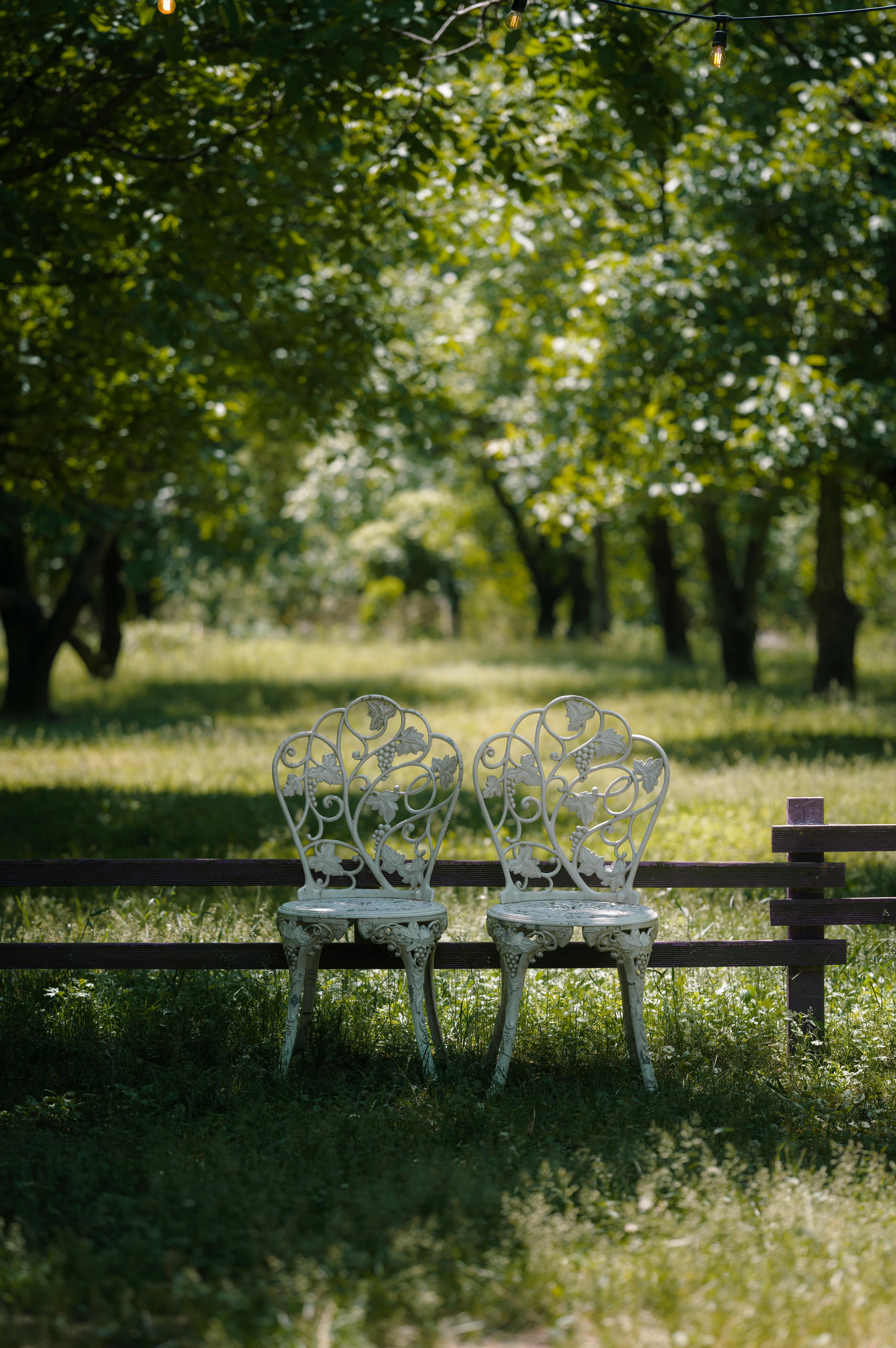 Idyllic park scene with ornate white chairs beneath sunlit trees, perfect for relaxation and tranquility.