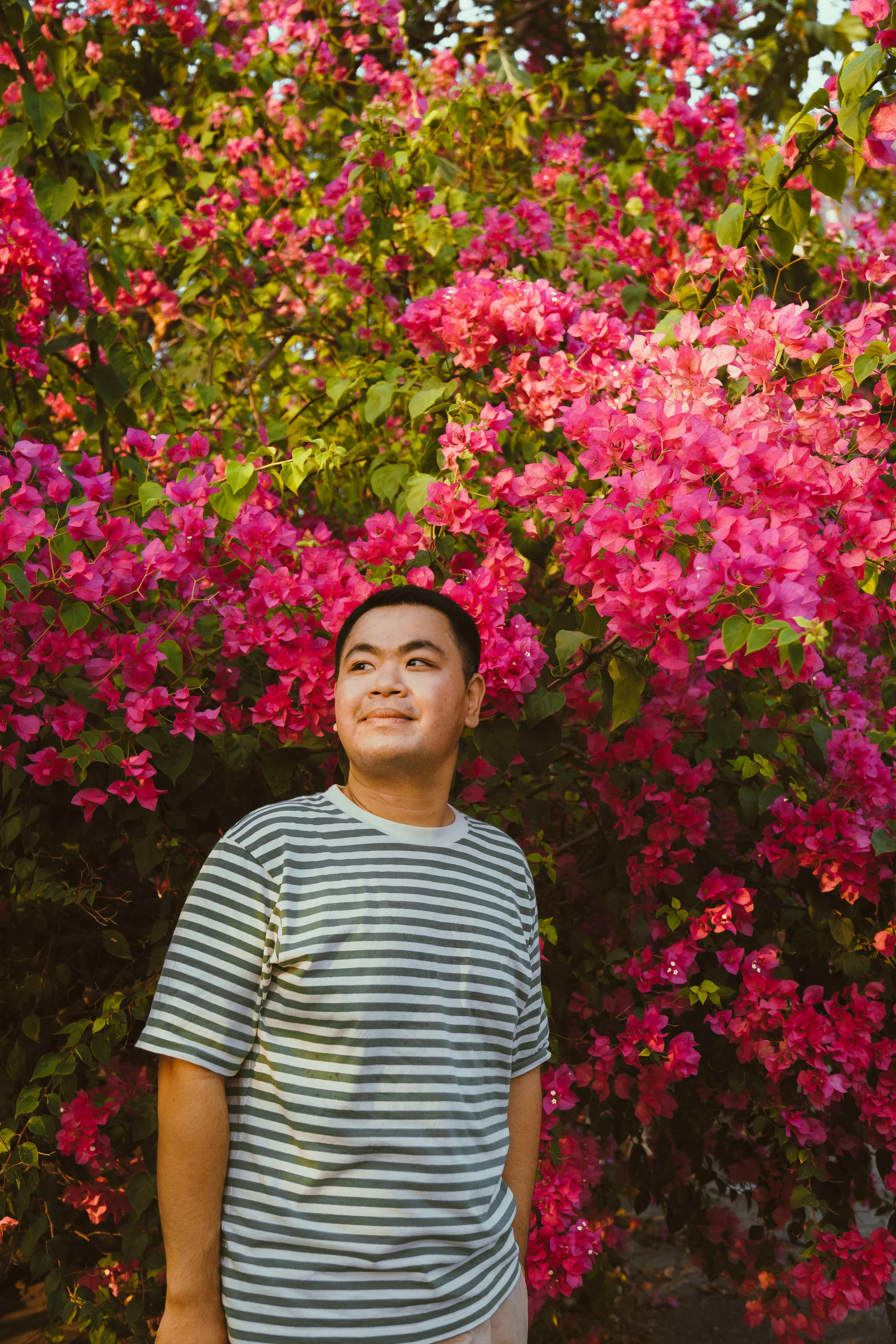 Asian man stands among vibrant pink bougainvillea in Ho Chi Minh City. Spring vibes and nature beauty.
