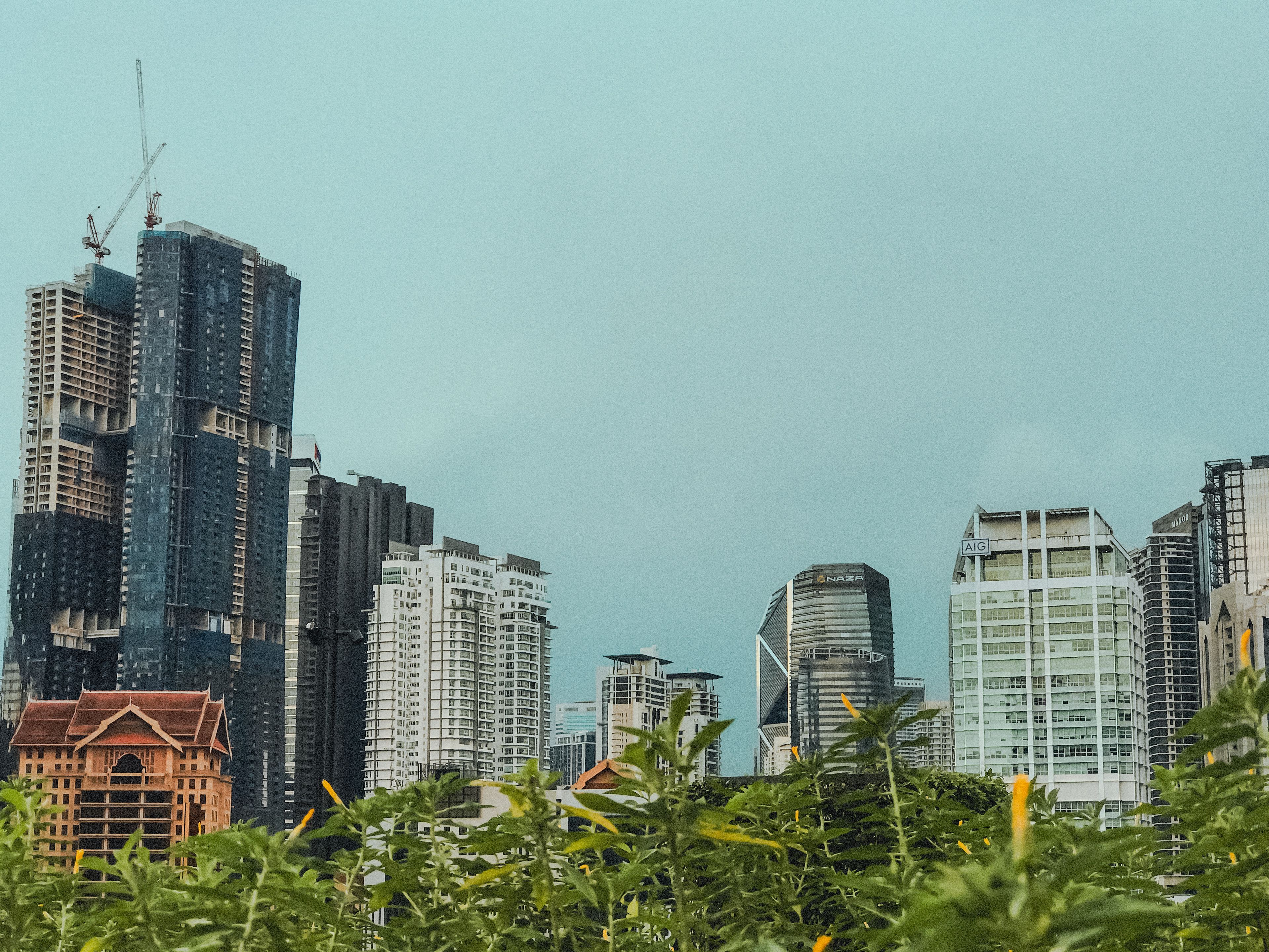A city skyline with tall buildings and green plants · Free Stock Photo