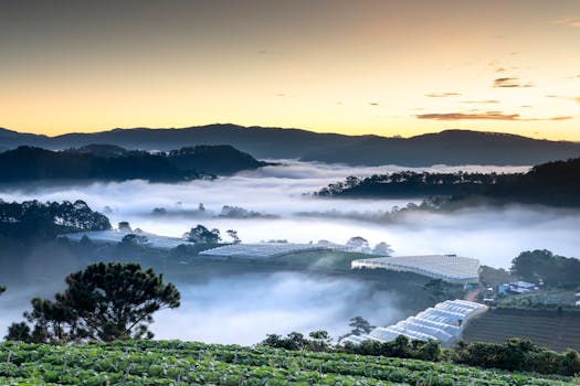 日出时，晨雾笼罩着郁郁葱葱的山脉和田野，景色迷人