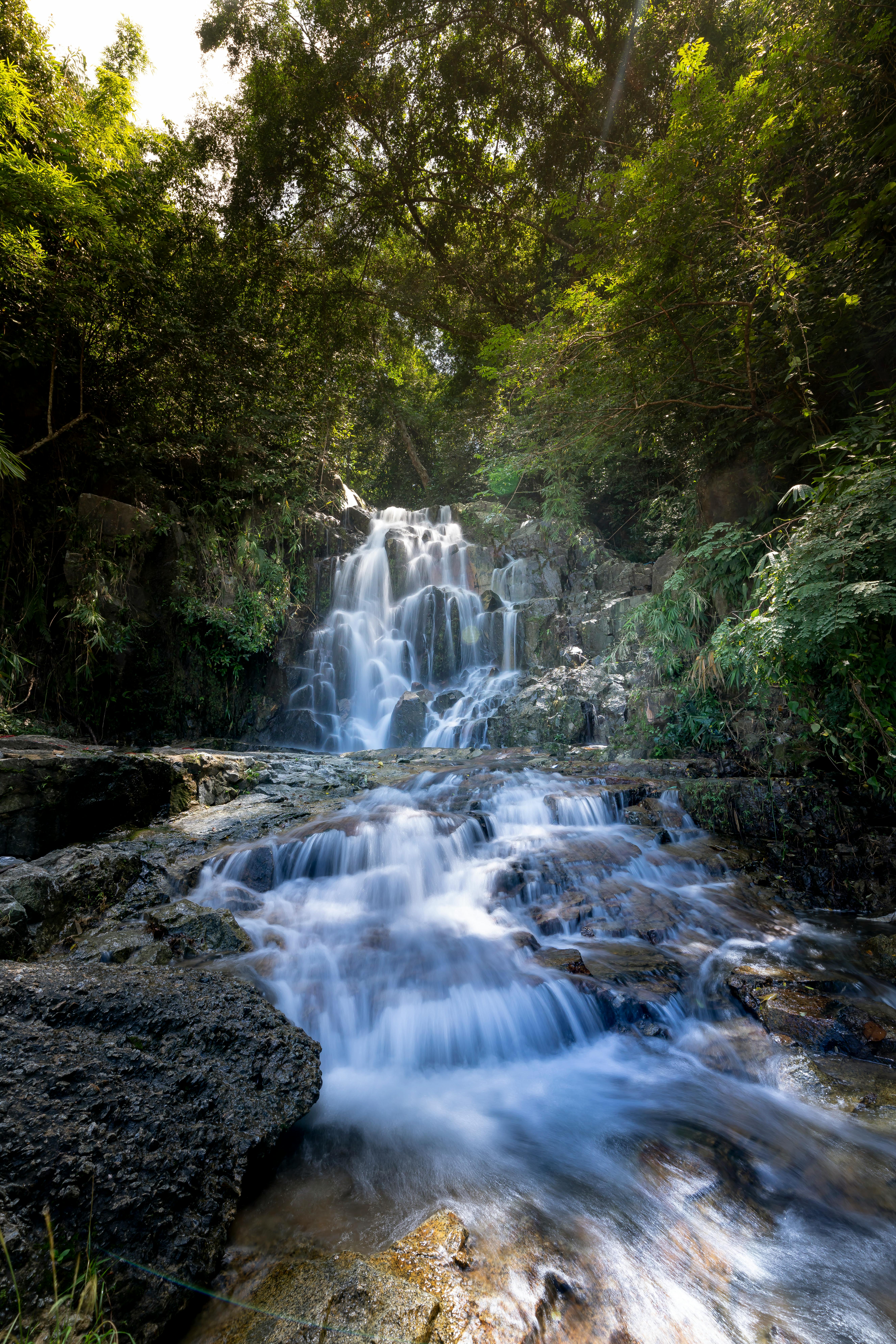 verticle waterfall images with trees