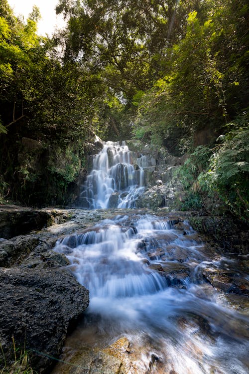 Waterfalls Surround By Trees