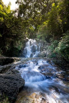 宁静的瀑布流经生机盎然的森林，捕捉到了大自然之美的精髓
